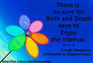 There is no cure for birth and death save to enjoy the interval.